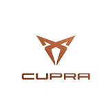 Cupra ecu remap