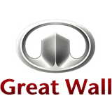 GWM ecu remap