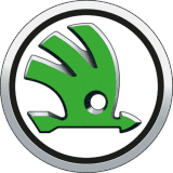 Skoda ecu remap